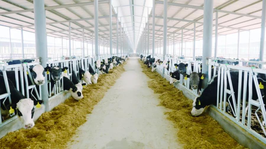 1643273233180907.jpg WeChat Image_20220127164700.jpg