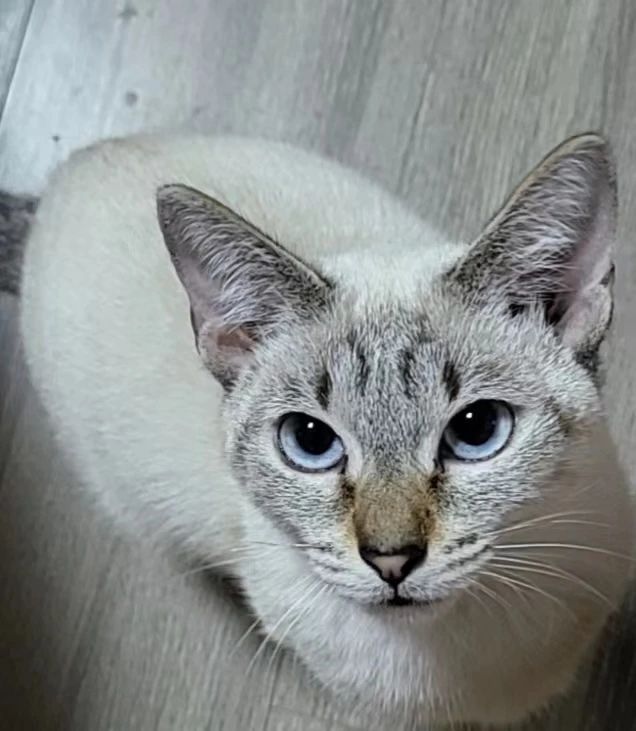 1698029112225819.jpg 1698029112225819.jpg